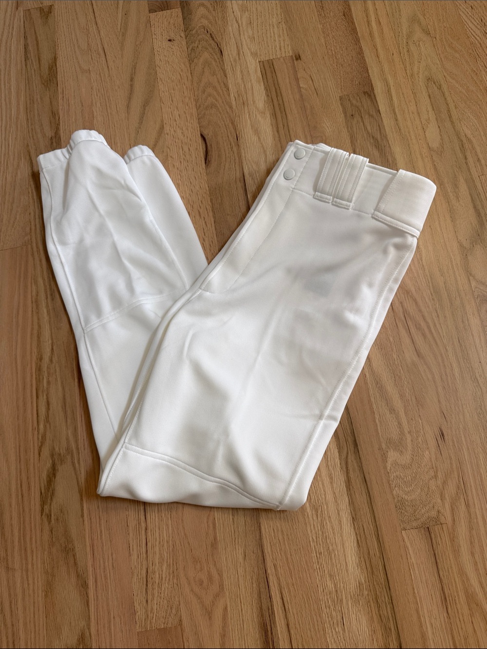 Mizuno Baseball Performance Pants- Size: Adult Large Men’s